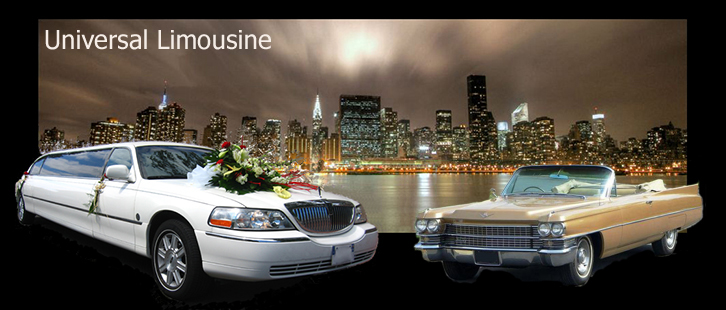 Location limousine - Limousine - Limousine a Lille Roubaix Tourcoing Dunkerque Valenciennes Region Nord Pas de Calais - Limousine vitres fumées - Location de Limousine a Lille Roubaix Tourcoing Dunkerque Valenciennes Région Nord Pas de Calais - Louer une Limousine - Limousine mariage - Visite de lille roubaix tourcoing dunkerque valenciennes region nord pas de calais en limousine - Transfert aroport en limousine - Chti ch'ti Ch'ti chti 

Location d une limousine - prix location limousine - location limousine à Lille Roubaix Tourcoing Dunkerque Valenciennes Region Nord Pas de Calais - locations de limousine - location limousine sur Lille Roubaix Tourcoing Dunkerque Valenciennes Région Nord Pas de Calais - limo service Lille Roubaix Tourcoing Dunkerque Valenciennes Région Nord Pas de Calais - location limousine pour mariage - location de limousine avec chauffeur - location de limousine pour mariage - tarifs location limousine - location limousine - star limos - location de limousine pas cher - balade en limousine - location limousine pour soiree - louer une limousine - limousine a louer - location limousines - location de limousines à lille roubaix tourcoing dunkerque valenciennes region nord pas de calais - location limousine lille roubaix tourcoing dunkerque valenciennes region nord pas de calais - location de limousine - location des limousines - location limousine lille roubaix tourcoing dunkerque valenciennes region nord pas de calais - location de limousine à lille roubaix tourcoing dunkerque valenciennes region nord pas de calais - limousine de star - prix de location de limousine - tarif location limousine - location de limo - locations limousine - louer limousine - limosine - limousine lille roubaix tourcoing dunkerque valenciennes region nord pas de calais région Ch'ti ch'ti Chti chti 

UNIVERSAL LIMOUSINE vous permet d'accéder à tarif raisonnable au monde des Limousines Hors Normes : pour toutes vos occasions privées ou d'affaires : Soiree VIP, Mariage, Soiree de fin de promo, Enterrement de Vie de G?????arçon, Enterrement de Vie de Jeune Fille, Party Clubs, restaurant, night-club, etc... Vous monterez a bord d une limousine de 10 metres, la plus longue du marché, équipée d un bar, d une TV satellite, d un lecteur DVD, d une chaîne stéréo HIFI, de jeux de lumiere par fibres optiques, de miroirs. Le salon est séparé de l habitacle du chauffeur par une cloison électrique.
Possibilité de louer d autres vehicules : mercedes ferrari mustang citroen porsche etc.
Uniquement des vehicules de prestige !

